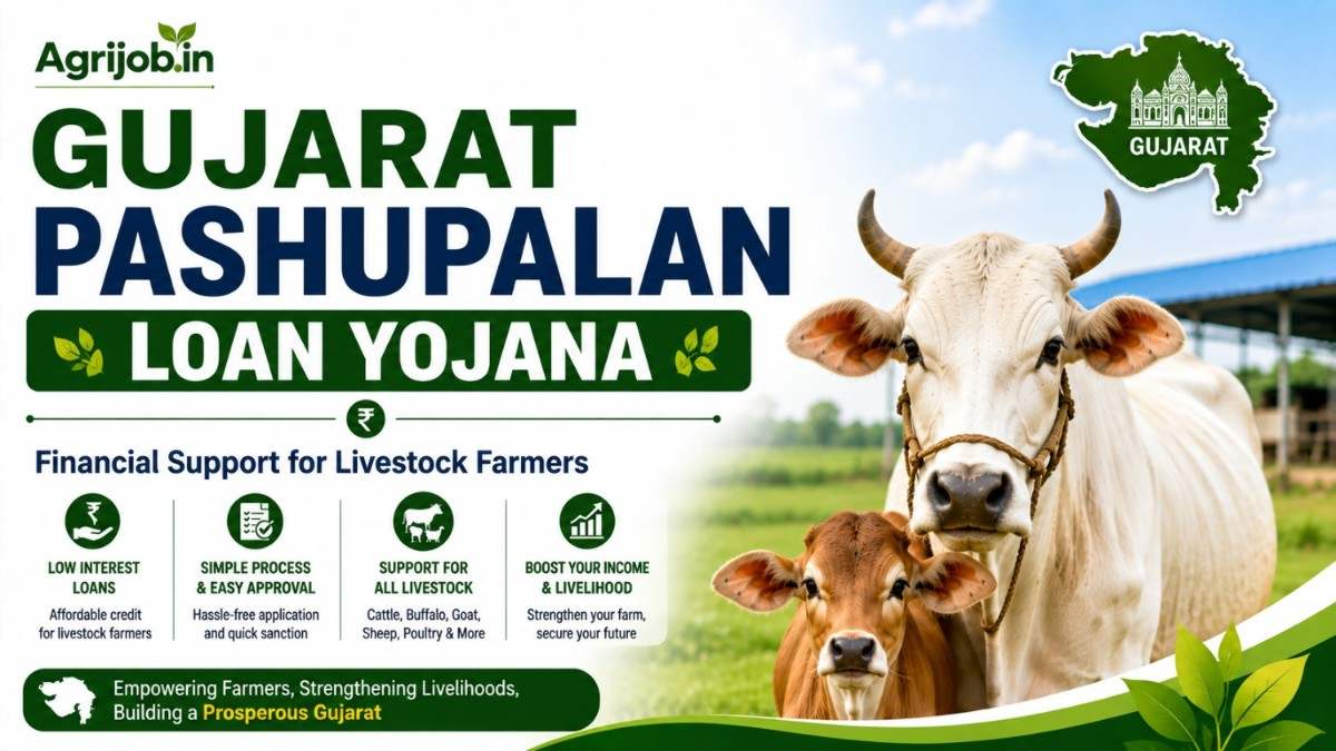 Gujarat Pashupalan Loan Yojana