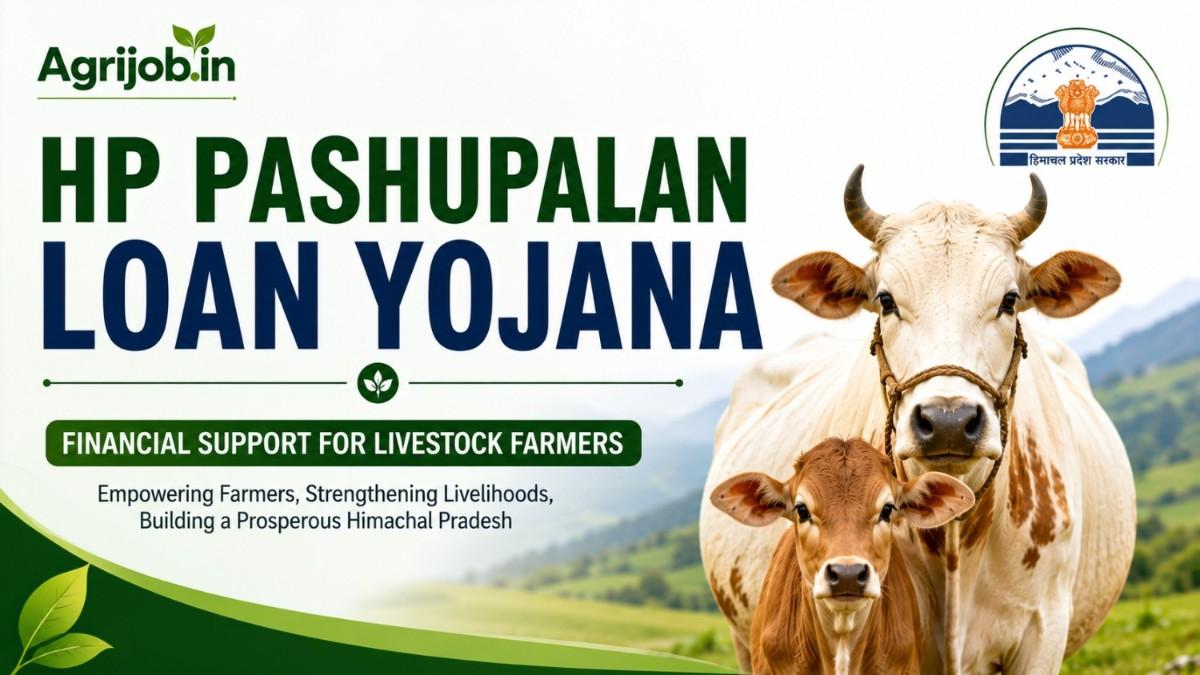HP Pashupalan Loan Yojana