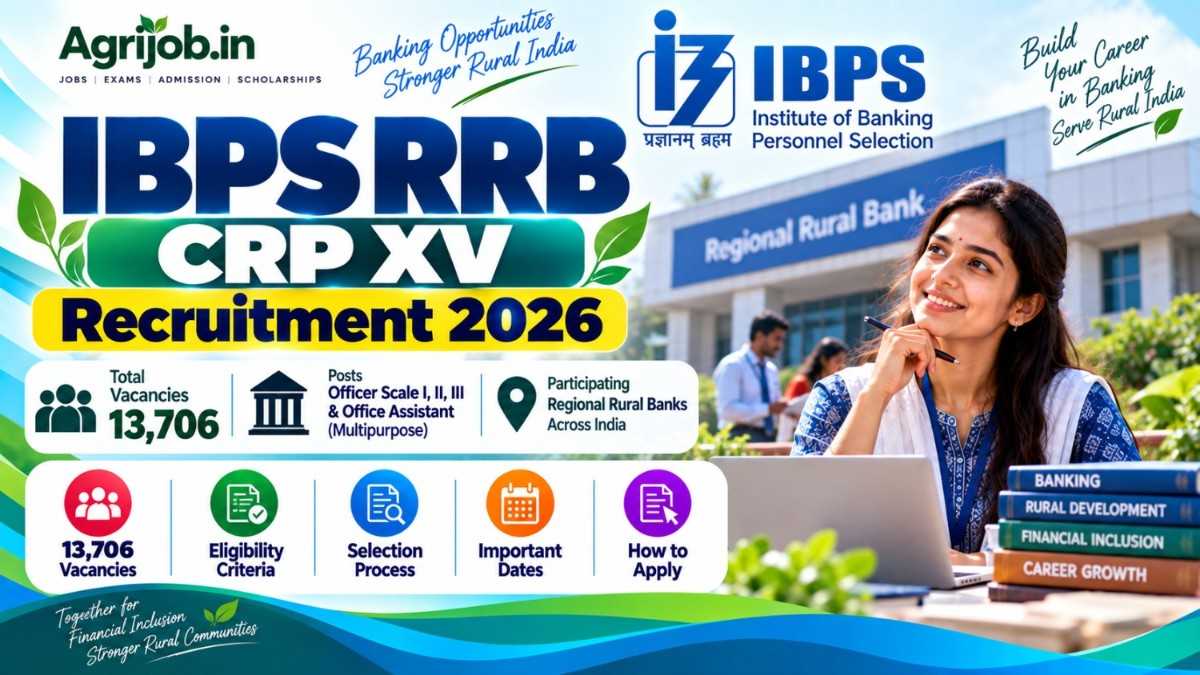 IBPS RRB CRP XV Recruitment 2026