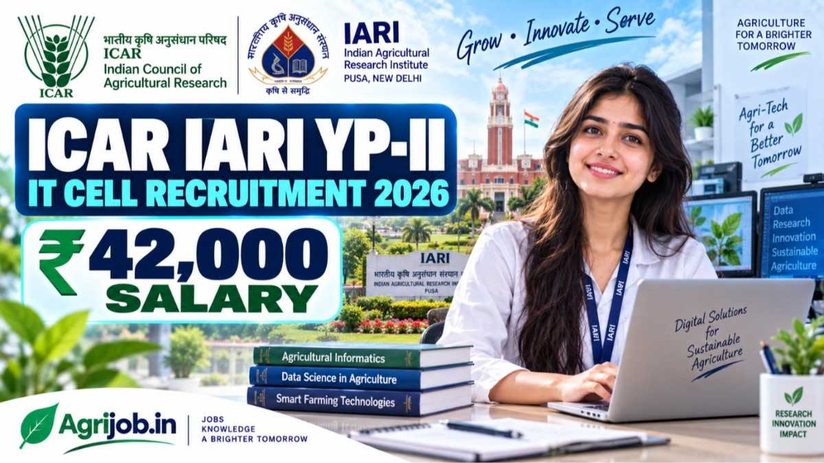 ICAR IARI YP-II IT Cell Recruitment 2026