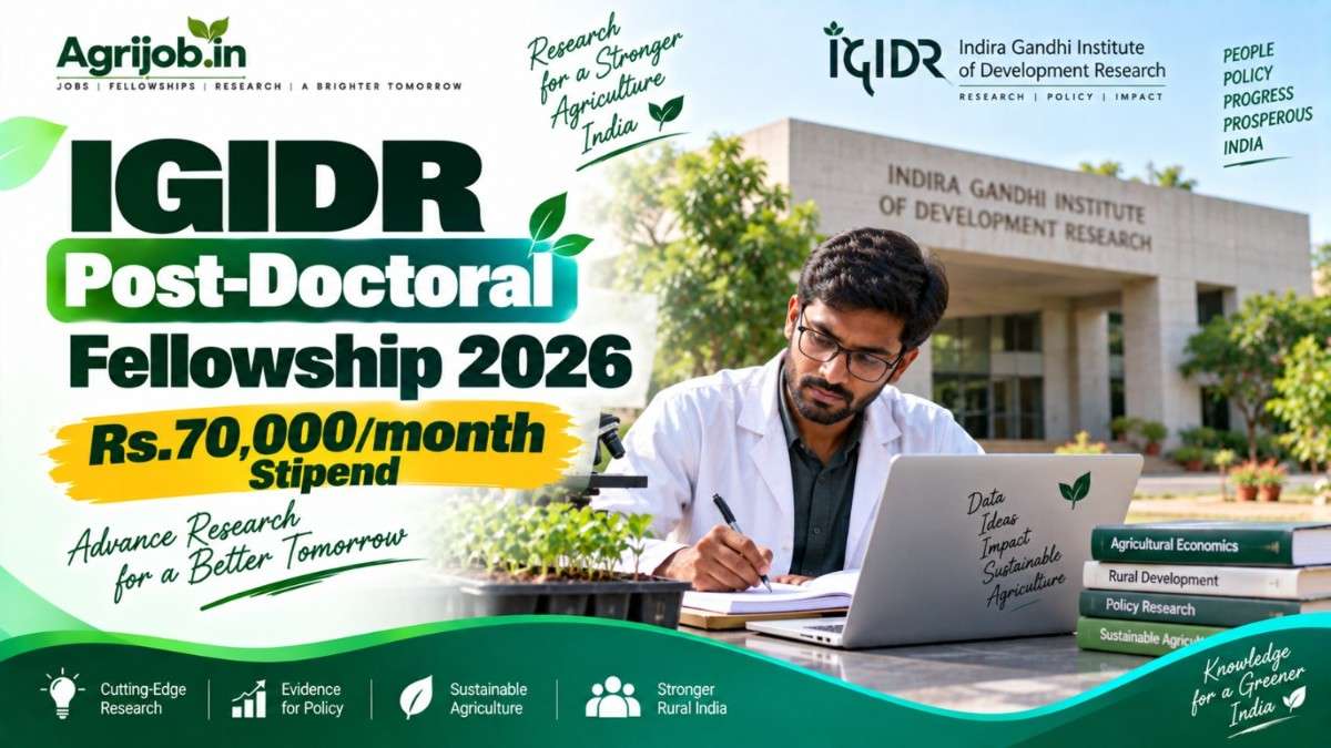 IGIDR Post-Doctoral Fellowship 2026