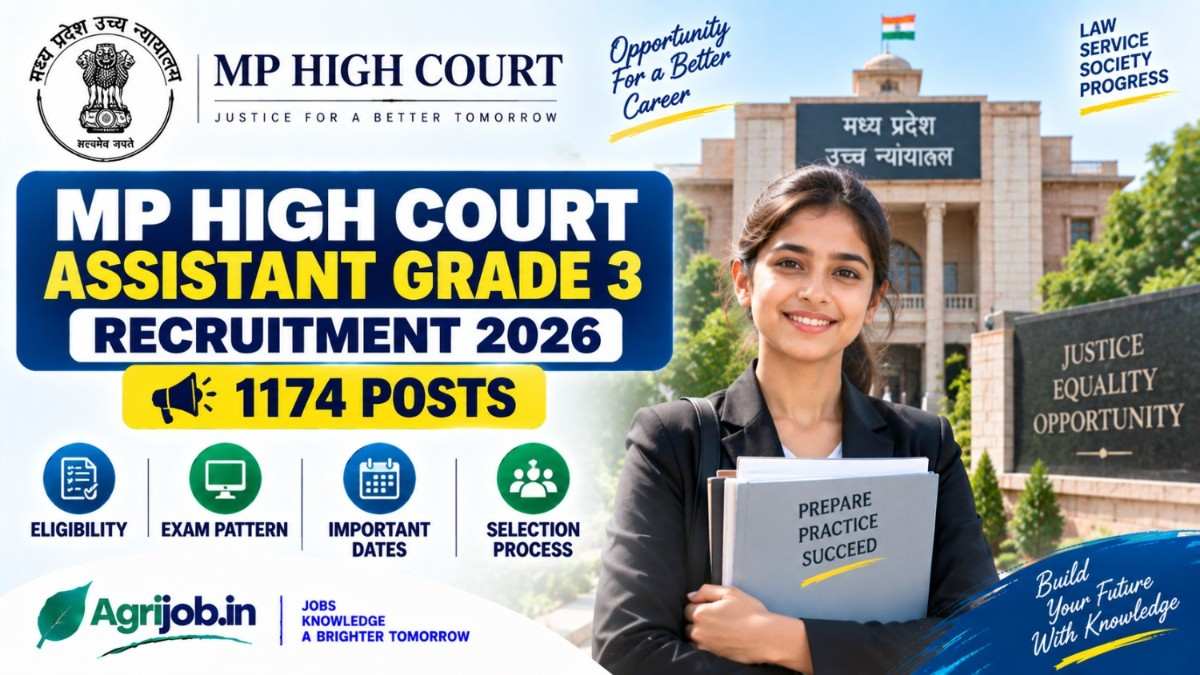 MP High Court Assistant Grade 3 Recruitment 2026 – 1174