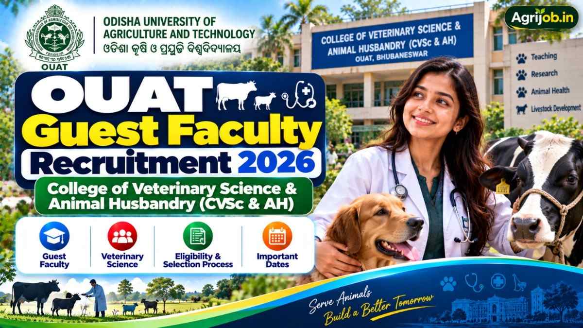 OUAT Guest Faculty Recruitment 2026