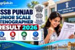 SSSB Punjab Junior Scale Stenographer Result 2026