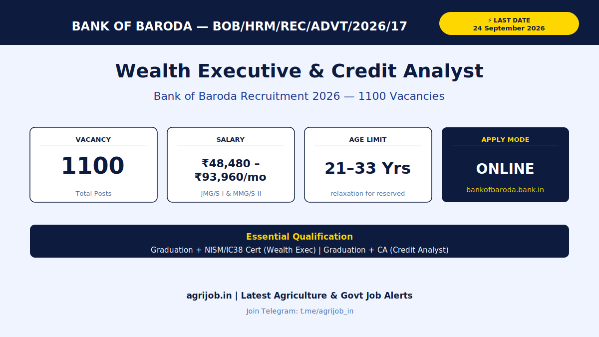 Bank of Baroda Recruitment 2026 Vacancy Overview Infographic – agrijob.in