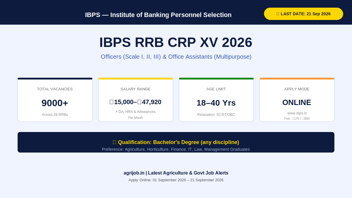 IBPS RRB CRP XV Recruitment 2026 Vacancy Overview Infographic – agrijob.in