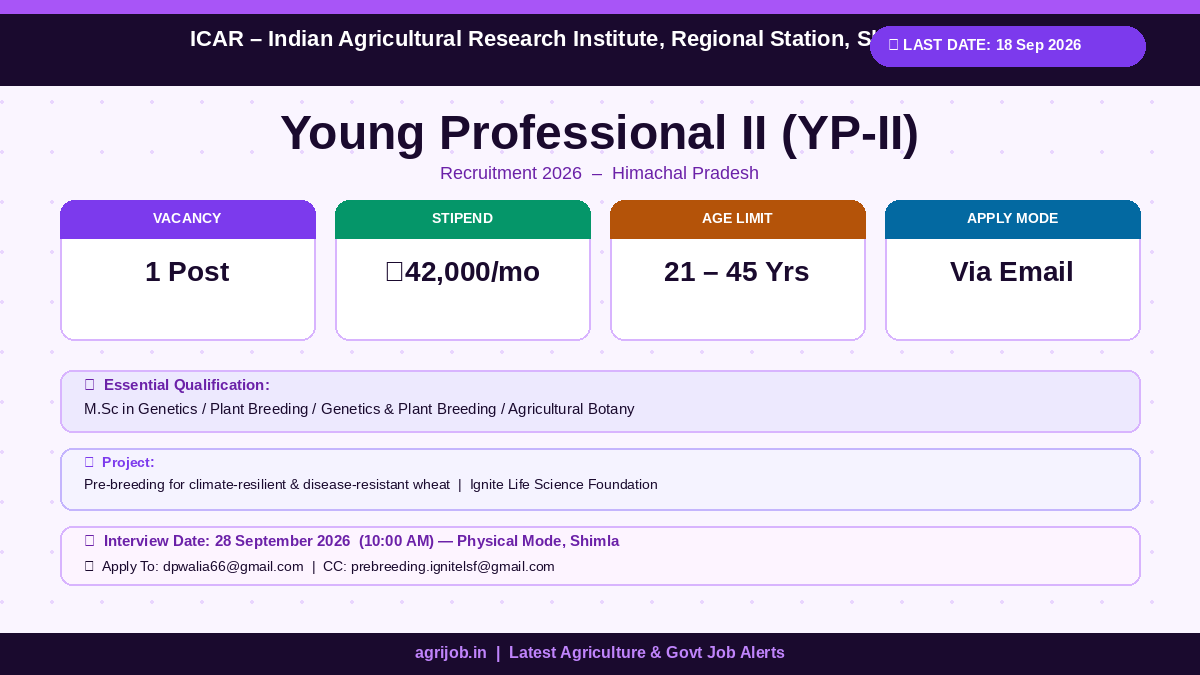 ICAR Young Professional II Recruitment 2026 Vacancy Overview Infographic – agrijob.in