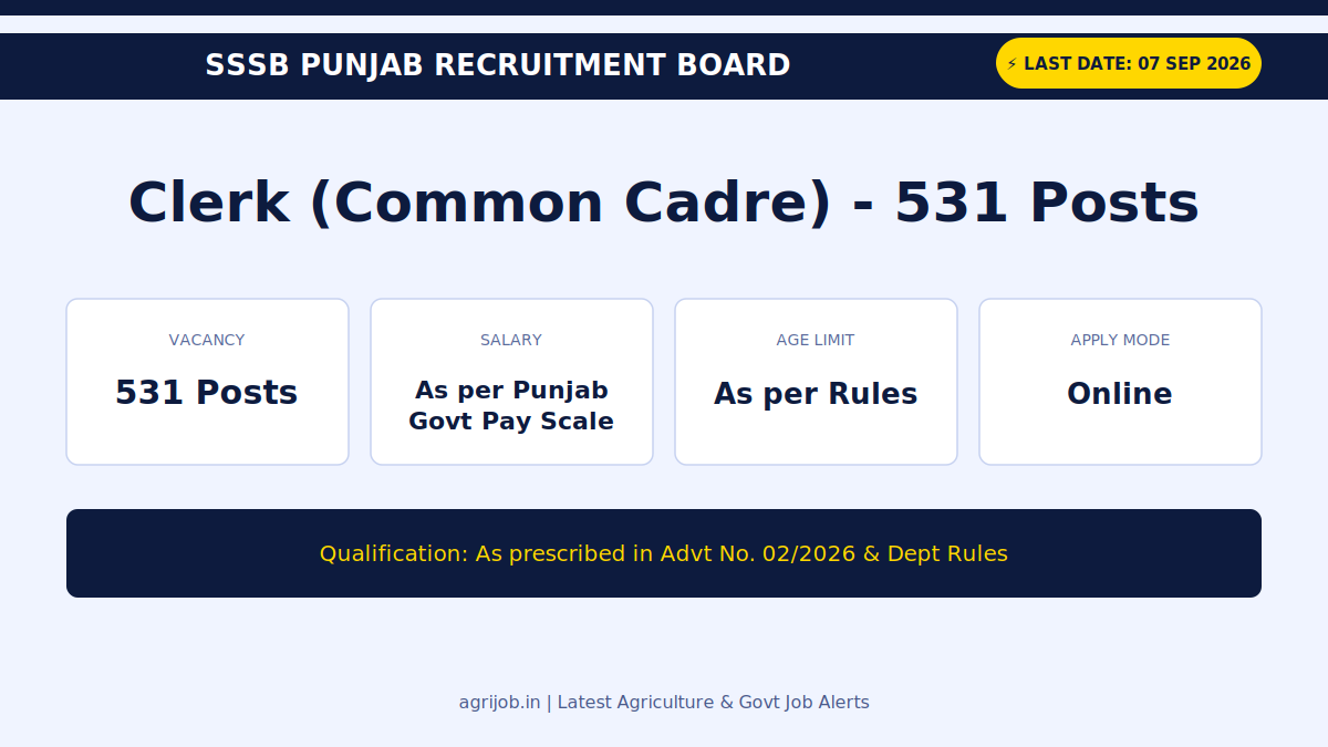 Punjab SSSB Clerk Recruitment 2026 Vacancy Overview Infographic – agrijob.in