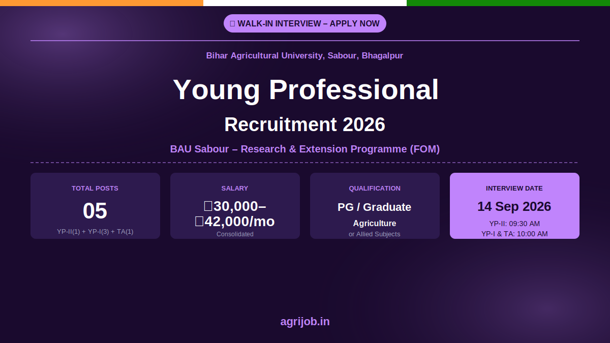 BAU Young Professional Recruitment 2026