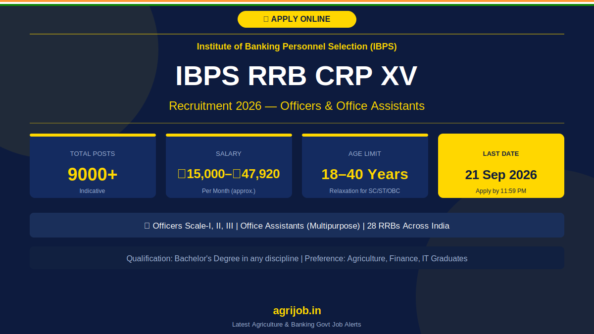 IBPS RRB CRP XV Recruitment 2026 Notification Banner – agrijob.in