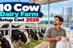 10 Cow Dairy Farm Setup Cost 2026