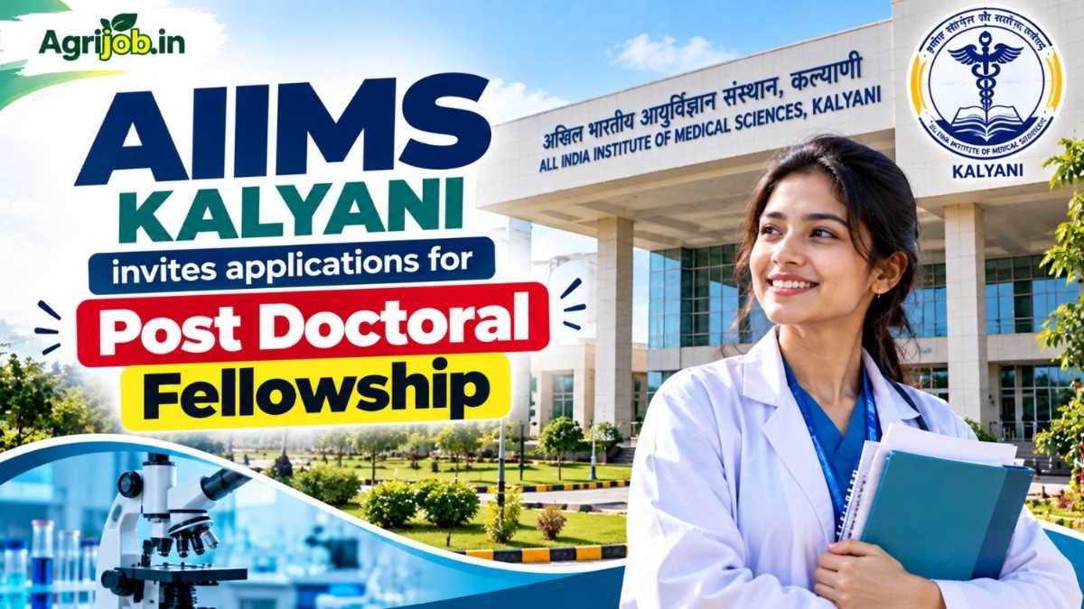 AIIMS Kalyani Post Doctoral Fellowship 2026