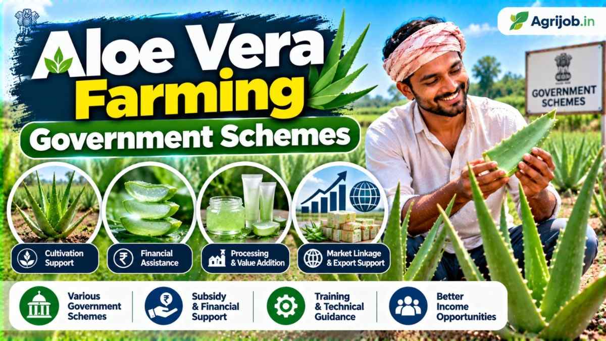 Aloe Vera Farming Government Schemes