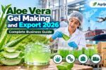 Aloe Vera Gel Making and Export 2026