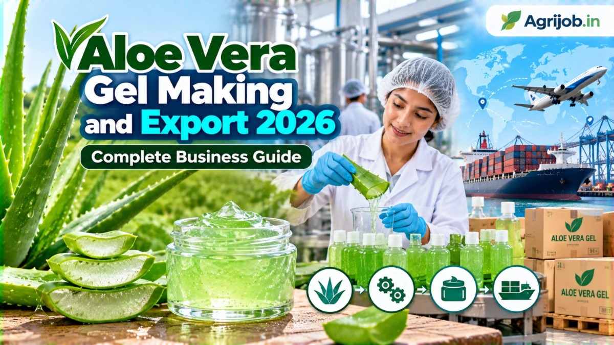 Aloe Vera Gel Making and Export 2026