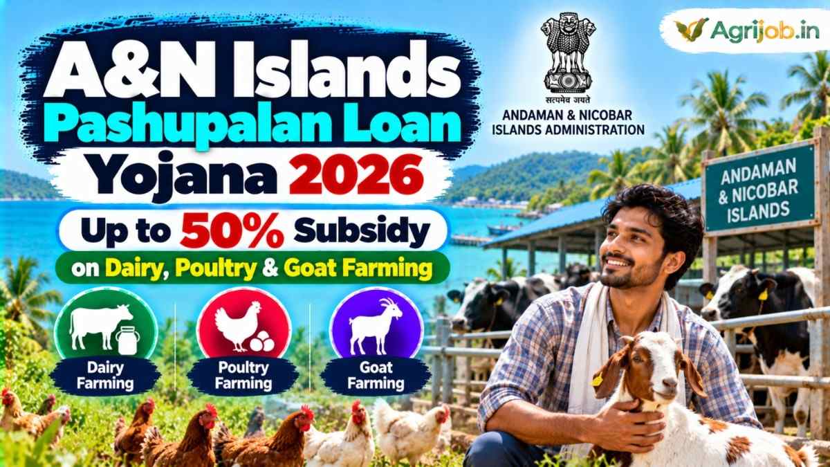 A&N Islands Pashupalan Loan Yojana 2026