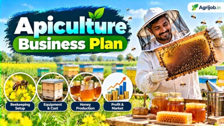 Apiculture Business Plan 2026 – Subsidy, Equipment And Honey Yield
