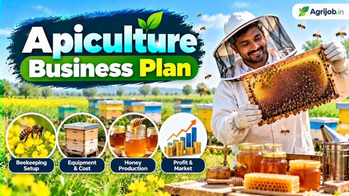 Apiculture Business Plan