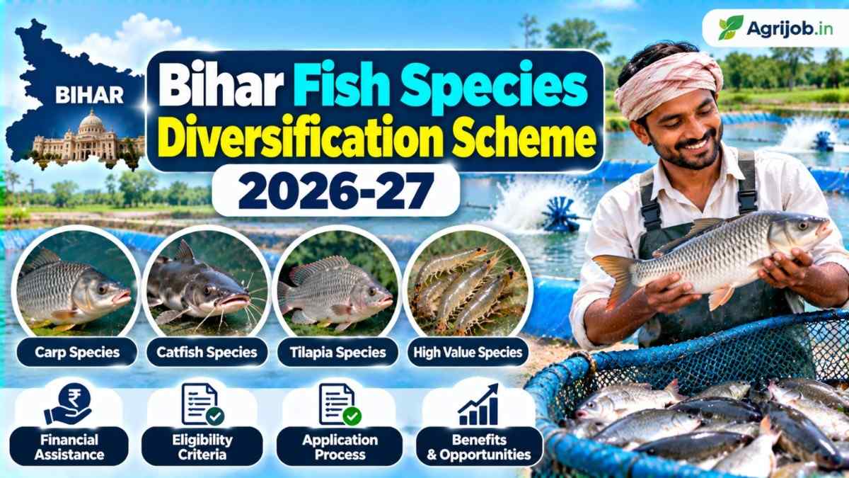 Bihar Fish Species Diversification Scheme 2026-27