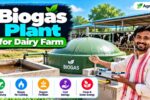 Biogas Plant for Dairy Farm 2026