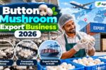 Button Mushroom Export Business 2026