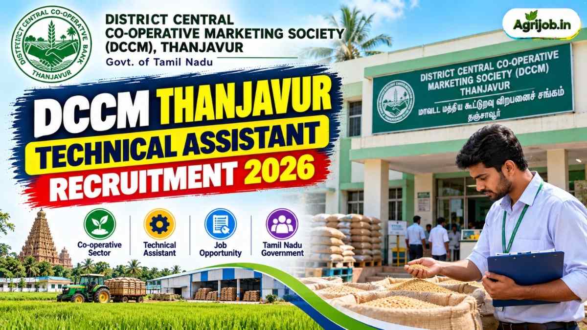 DCCM Thanjavur Technical Assistant Recruitment 2026