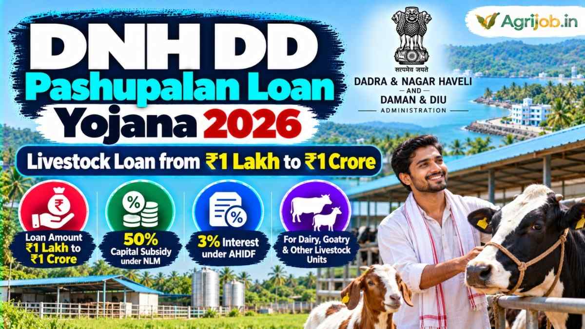 DNH DD Pashupalan Loan Yojana 2026