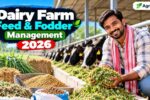 Dairy Farm Feed & Fodder Management 2026