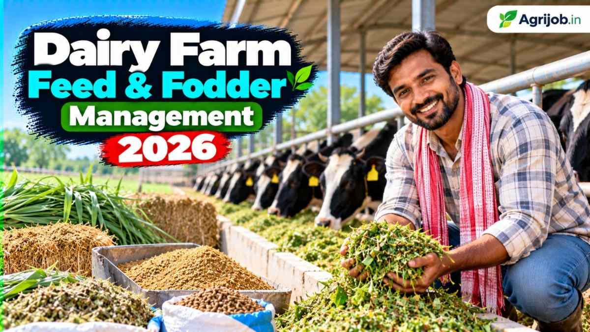 Dairy Farm Feed & Fodder Management 2026