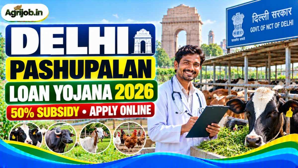 Delhi Pashupalan Loan Yojana 2026