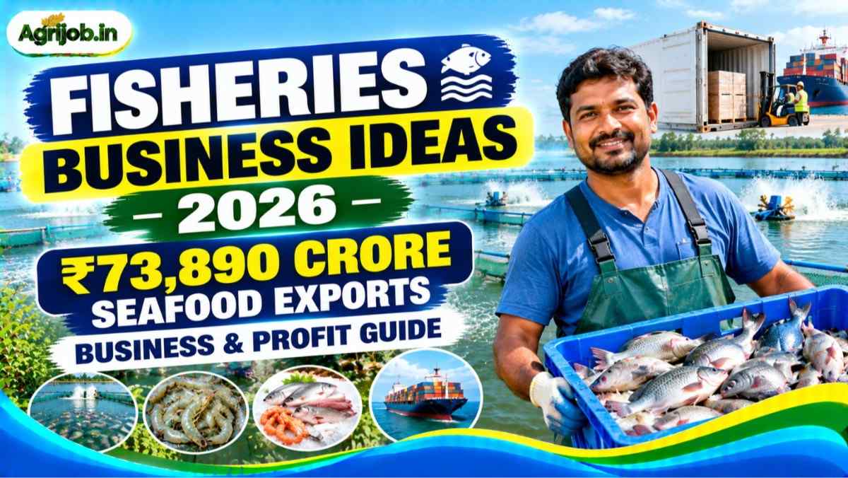 Fisheries Business Ideas 2026