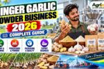 Ginger Garlic Powder Business 2026