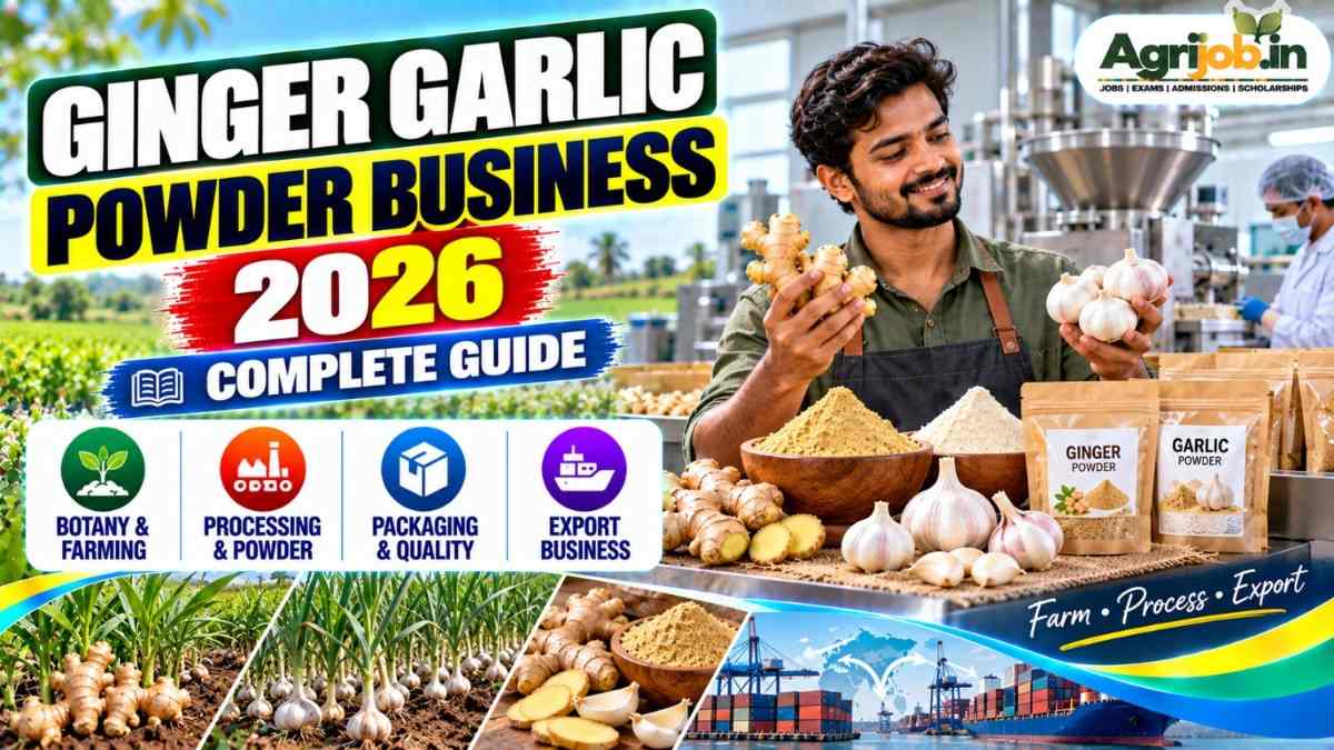 Ginger Garlic Powder Business 2026