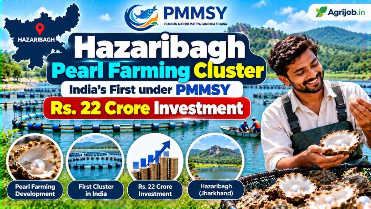 Hazaribagh Pearl Farming Cluster 2026