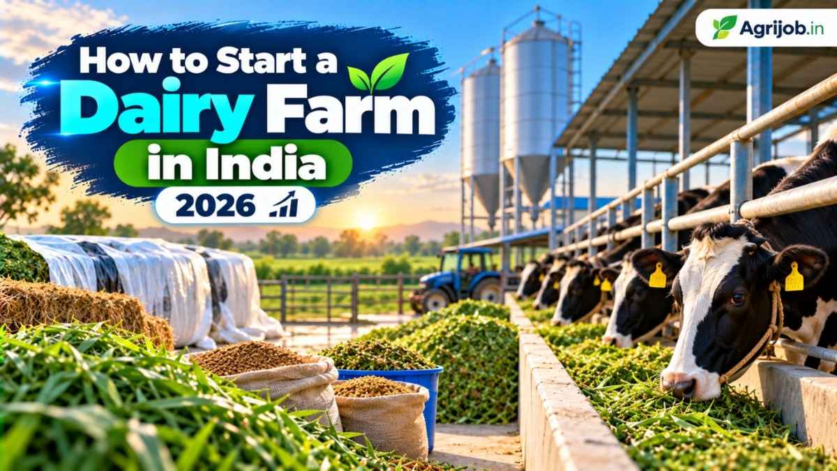 How to Start a Dairy Farm in India 2026