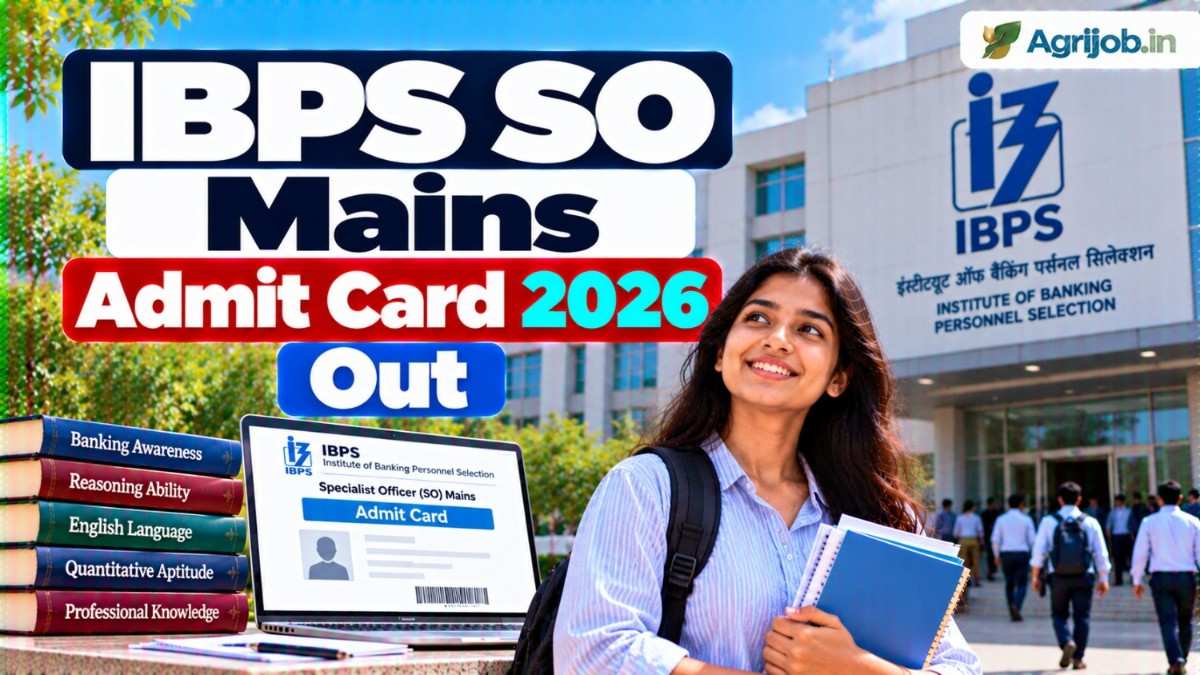 IBPS SO Mains Admit Card 2026 Out