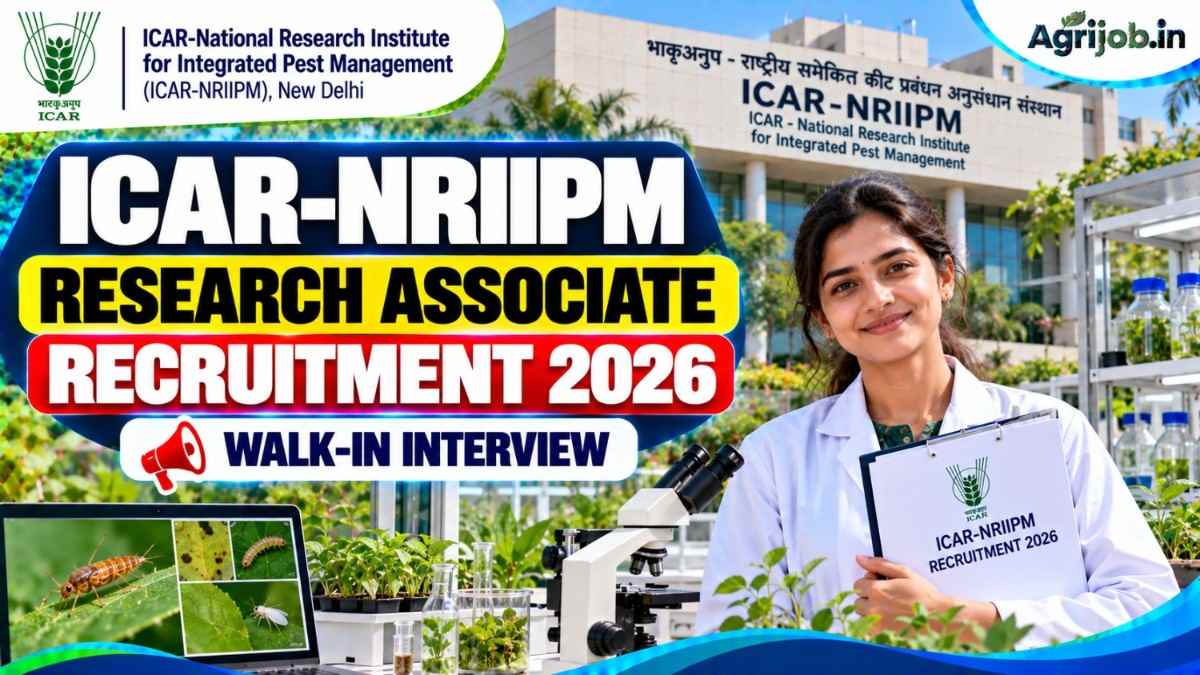 ICAR-NRIIPM Research Associate Recruitment 2026