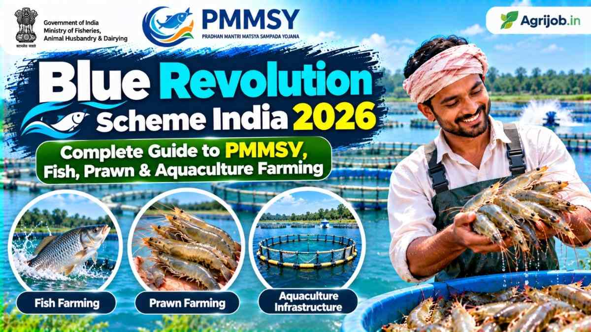 Blue Revolution Scheme India 2026