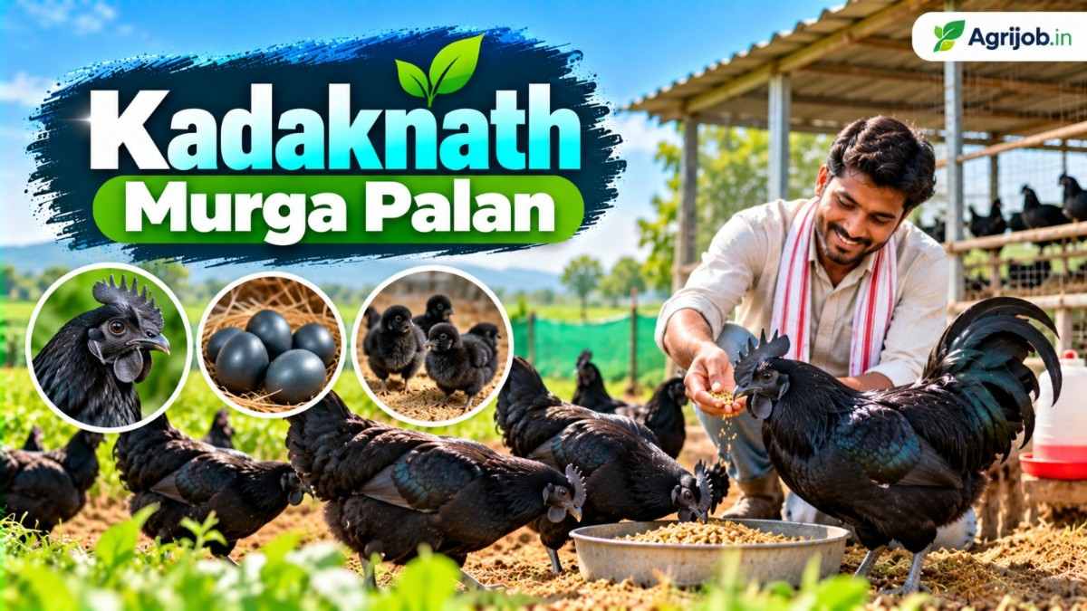 PM Kisan Installment Rejected 2026 – 9 Mistakes and How to Fix Them