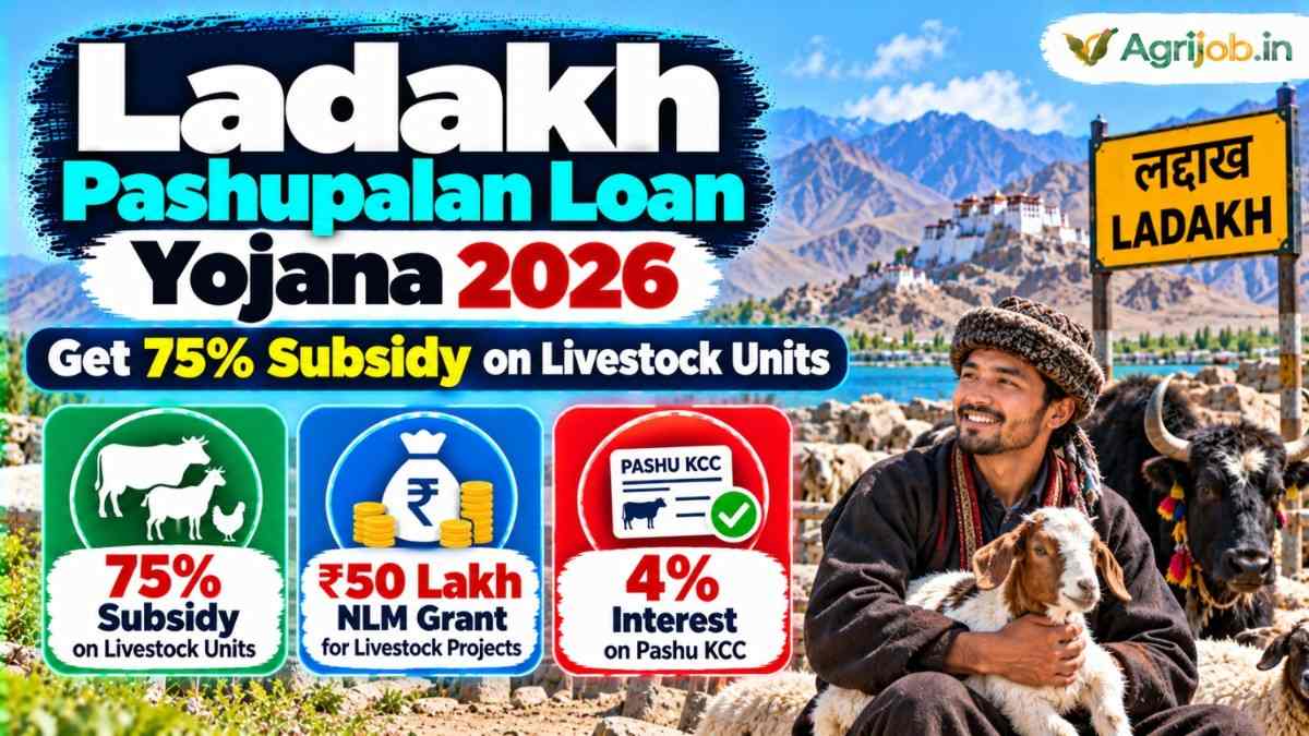 Ladakh Pashupalan Loan Yojana 2026