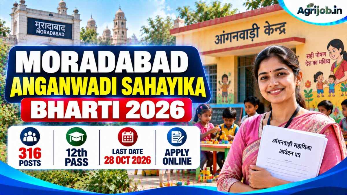 Moradabad Anganwadi Sahayika Bharti 2026