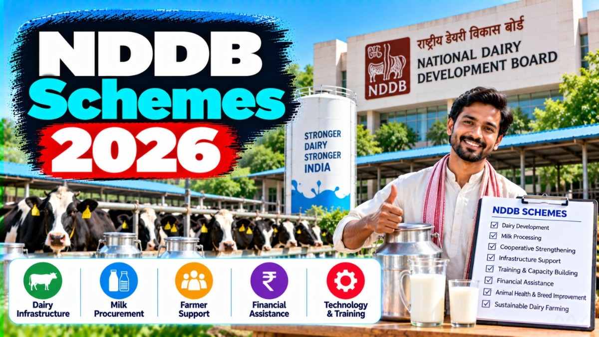 NDDB Schemes 2026