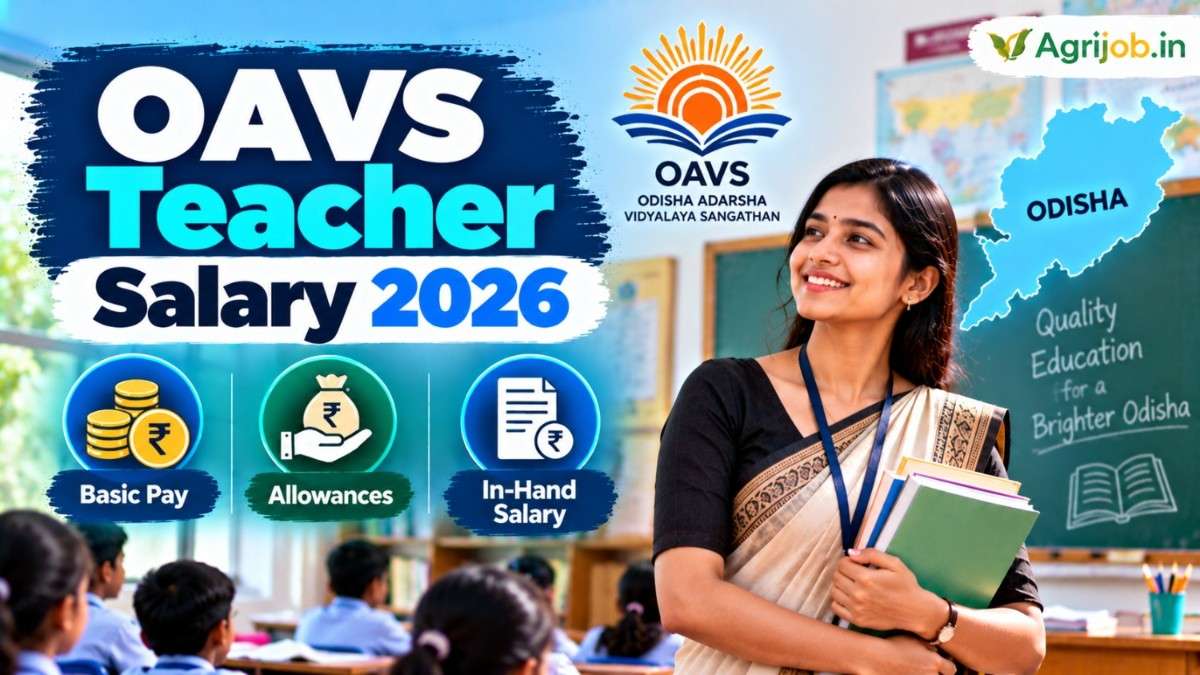 OAVS Teacher Salary 2026
