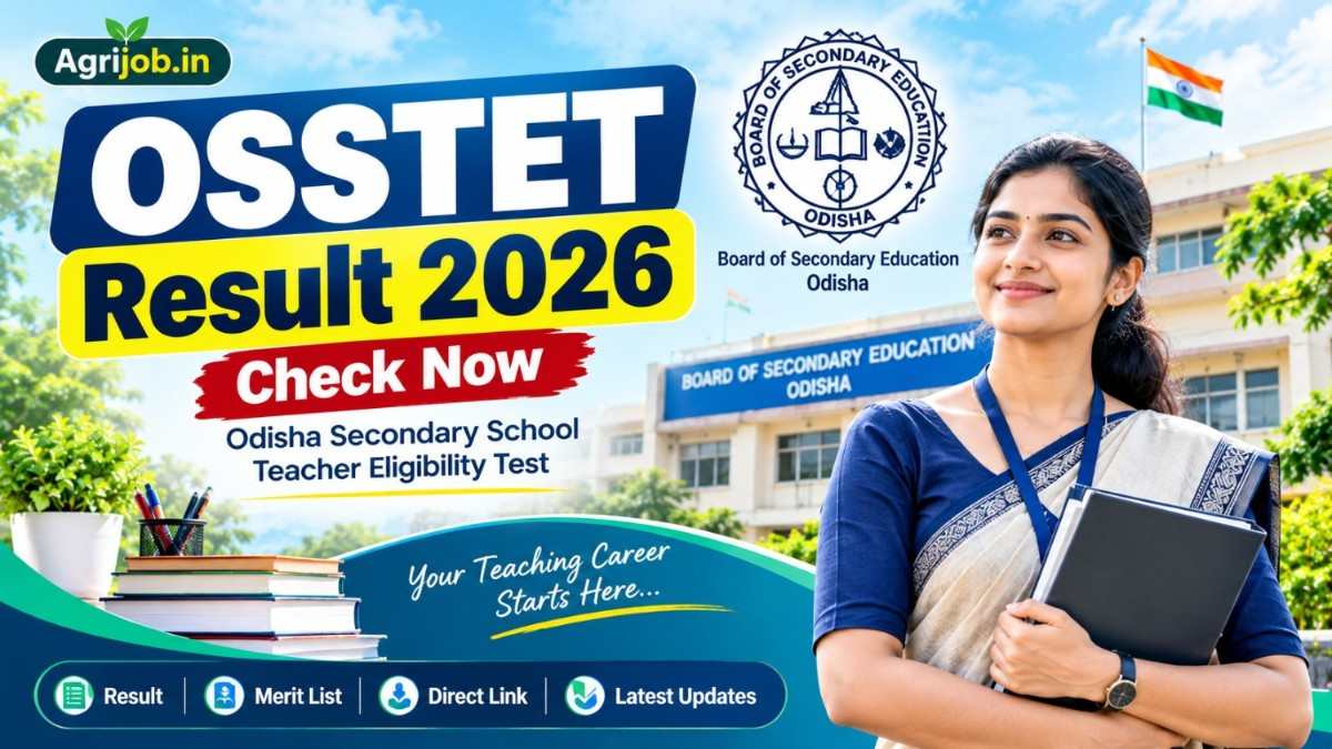 OSSTET Result 2026