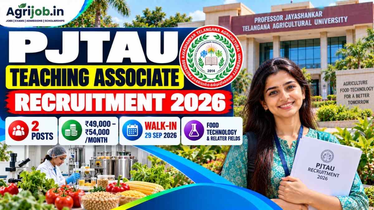 PJTAU Teaching Associate Recruitment 2026
