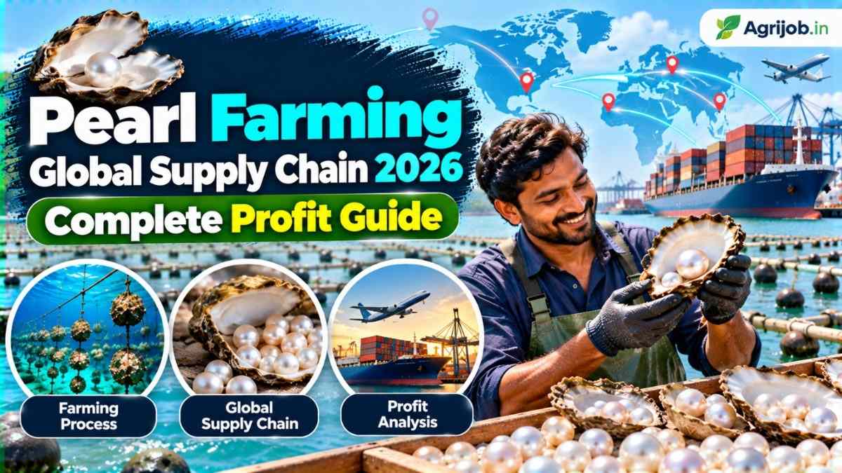 Pearl Farming Global Supply Chain 2026