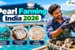 Pearl Farming India 2026