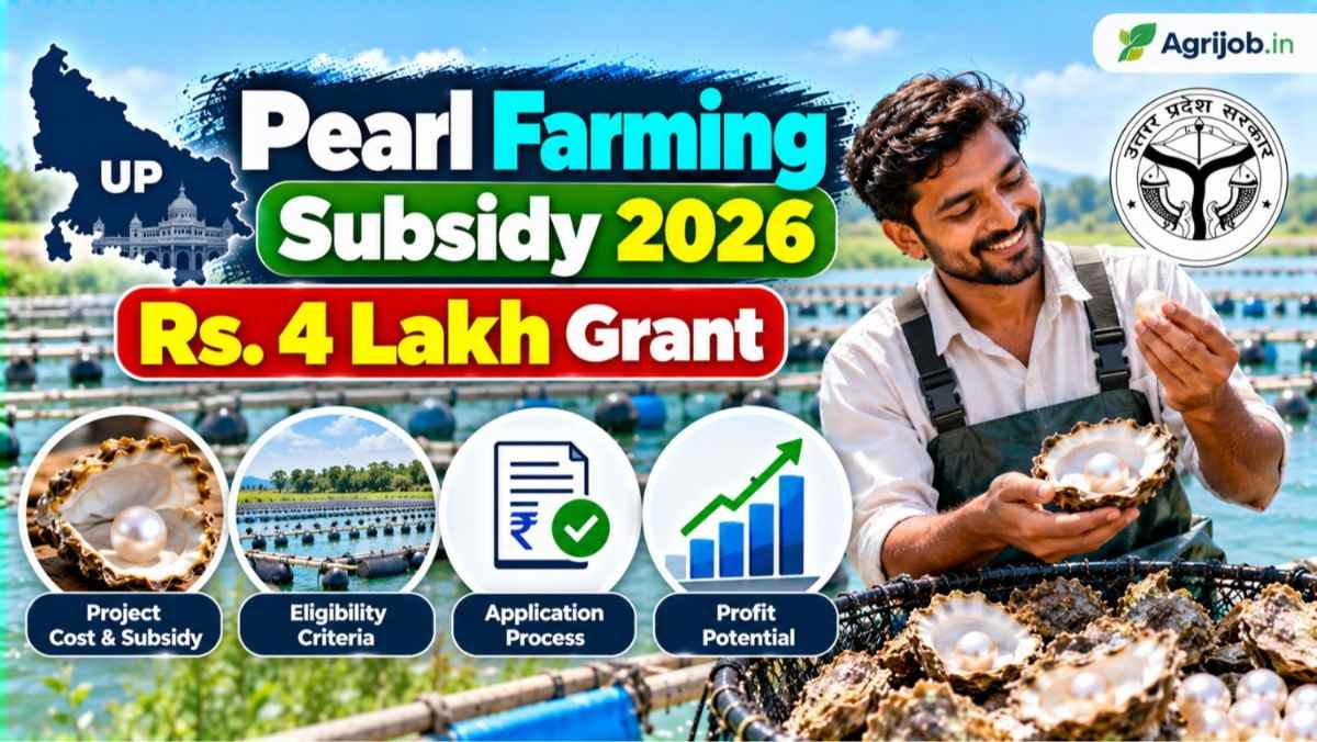 Bihar Fish Species Diversification Scheme 2026-27:
