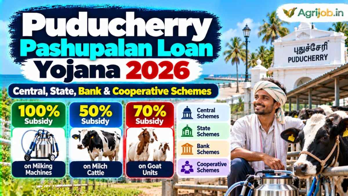 Puducherry Pashupalan Loan Yojana 2026