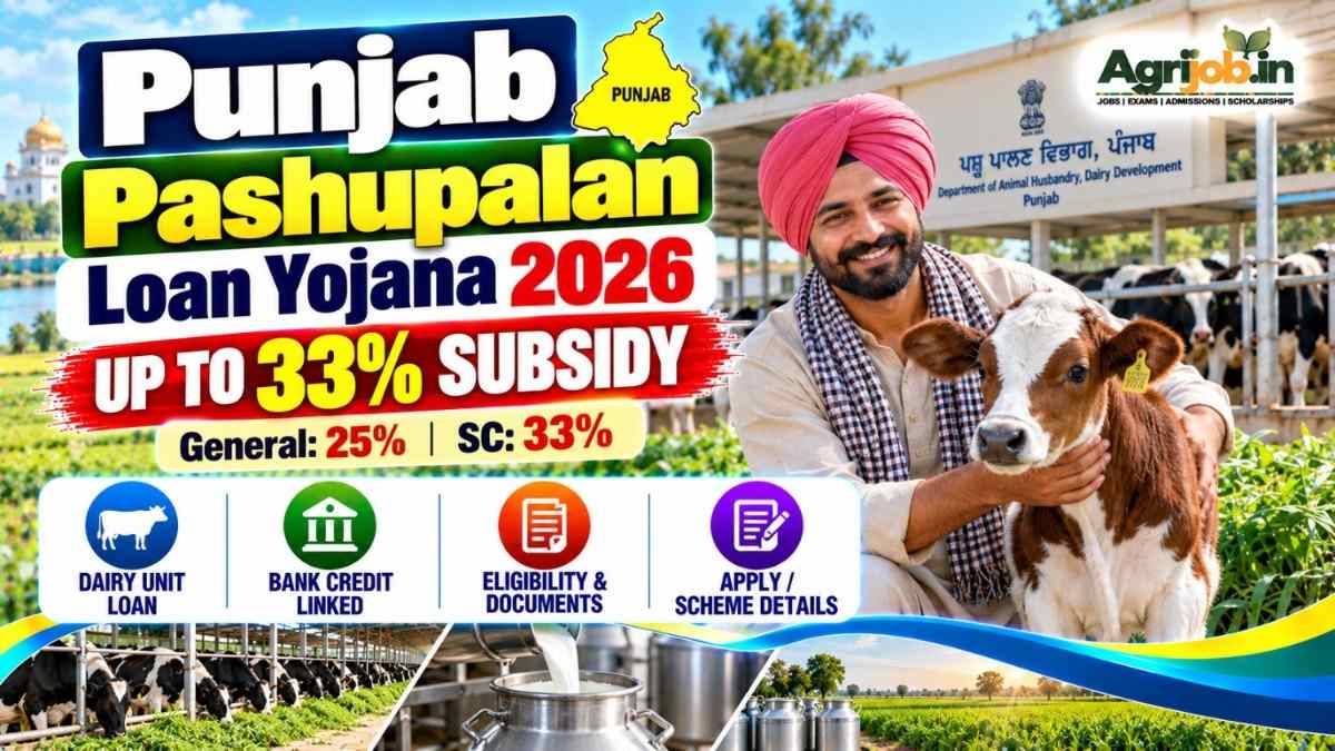 Punjab Pashupalan Loan Yojana 2026